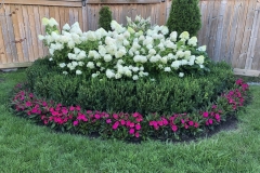 Backyard-green-space-3