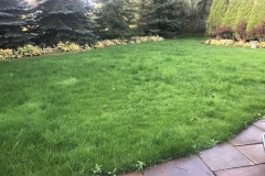 Lawn-growing-and-maintenance-1