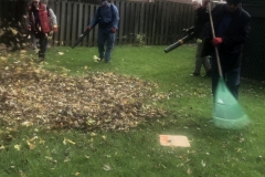 Lawn-growing-and-maintenance-11