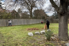 Lawn-growing-and-maintenance-12