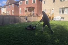 Lawn-growing-and-maintenance-4