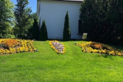 Ace-gardener-12