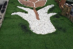 Ace-gardener-7