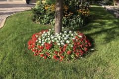 Outdoor-green-space-15