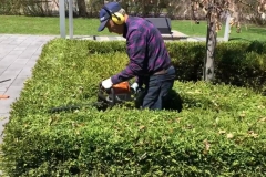 1_ace-gardener-3
