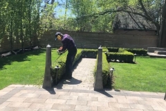 1_ace-gardener-5