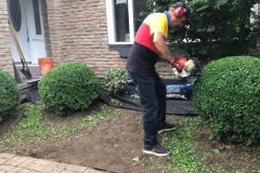 ace-gardener-11