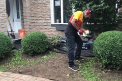 ace-gardener-12