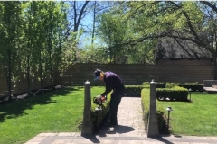 ace-gardener-6
