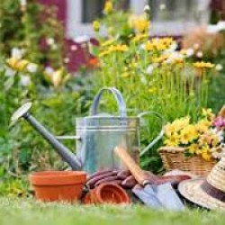 باغبانی یک سرگرمی است سیب آس