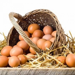 خواص تخم مرغ های ارگانیک سیب آس