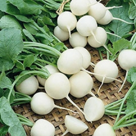 خواص ترب و تربچه سیب آس