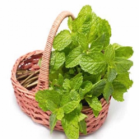خواص نعناع سیب آس