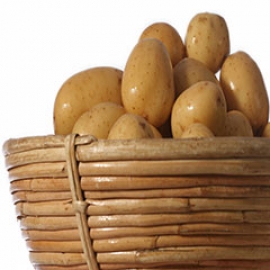 دانستنی‌هایی درباره‌ی سیب‌زمینی سیب آس