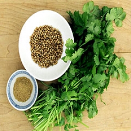 گشنیز، از سم‌زدایی تا کنترل دیابت سیب آس