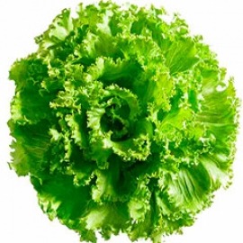 5 خاصیت باور نکردنی کاهو سیب آس