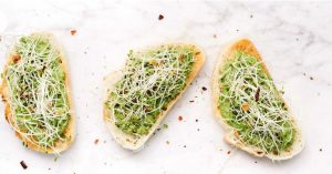 جوانه‌های بروکسل | Broccoli sprouts