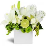 Citrus Breezes