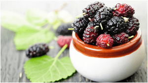 میوه توت سیاه 1 Dewberry