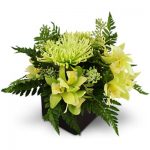 Emerald Jubilee