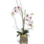 دسته گل سالگرد؛ انتخابی عاشقانه با گل های بنفش 3 Opulent Double Orchid