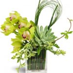 Succulent Orchid Zen Garden Vase