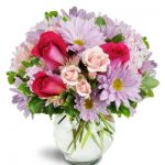 Sweet Surprise