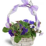 دسته گل سالگرد؛ انتخابی عاشقانه با گل های بنفش 30 Vibrant Violets Garden Basket