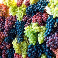 میوه انگور سیب آس