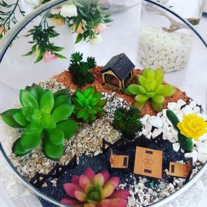 آموزش ساخت تراریوم کاکتوس